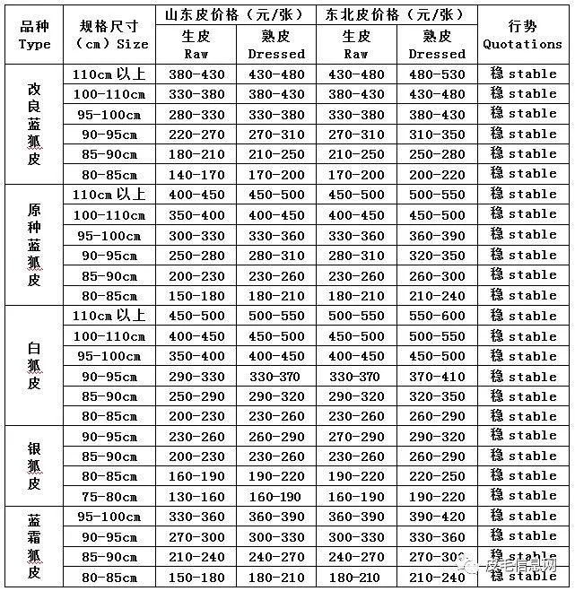 貉皮最新价格行情解析