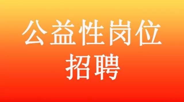 2024年12月9日 第70页