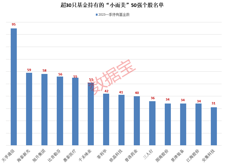 基金最新持股动态解析与市场展望，深度洞察与未来展望