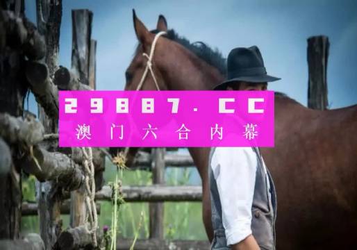 三中三必中一组澳门,实地分析解释定义_Executive41.247