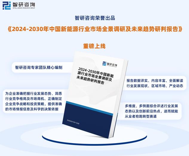 2024新奥精准资料免费,国产化作答解释落实_T51.381