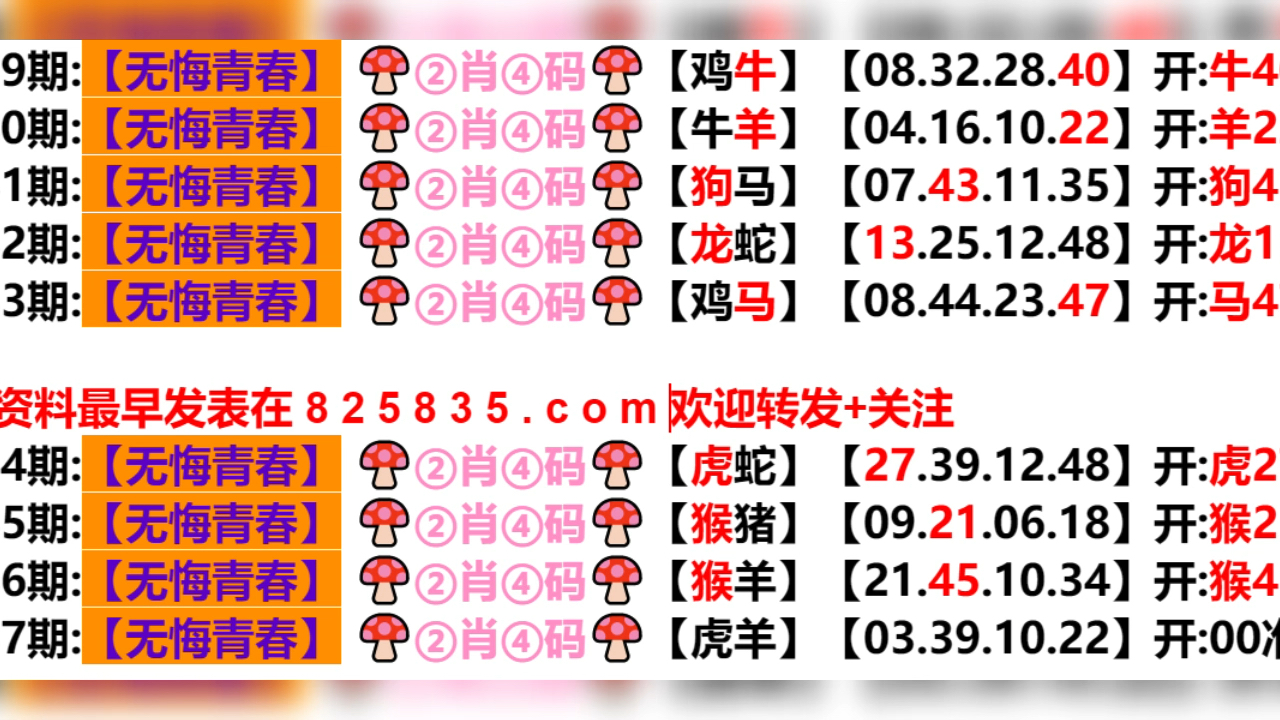 2024新奥门天天开好彩大全85期｜精选解释解析落实