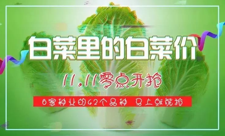 最新注册送白菜论坛体验分享心得