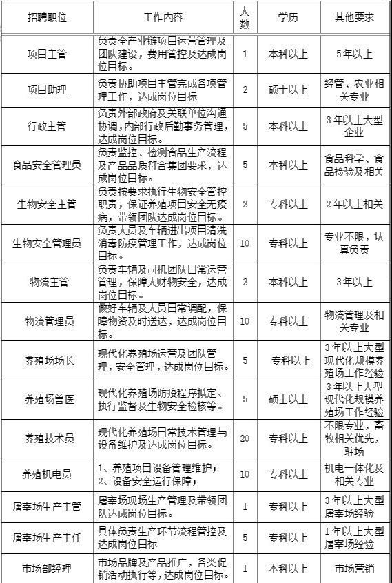 城阳河套最新招聘动态全解析，职位信息、要求一网打尽